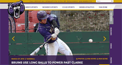 Desktop Screenshot of bubruins.com